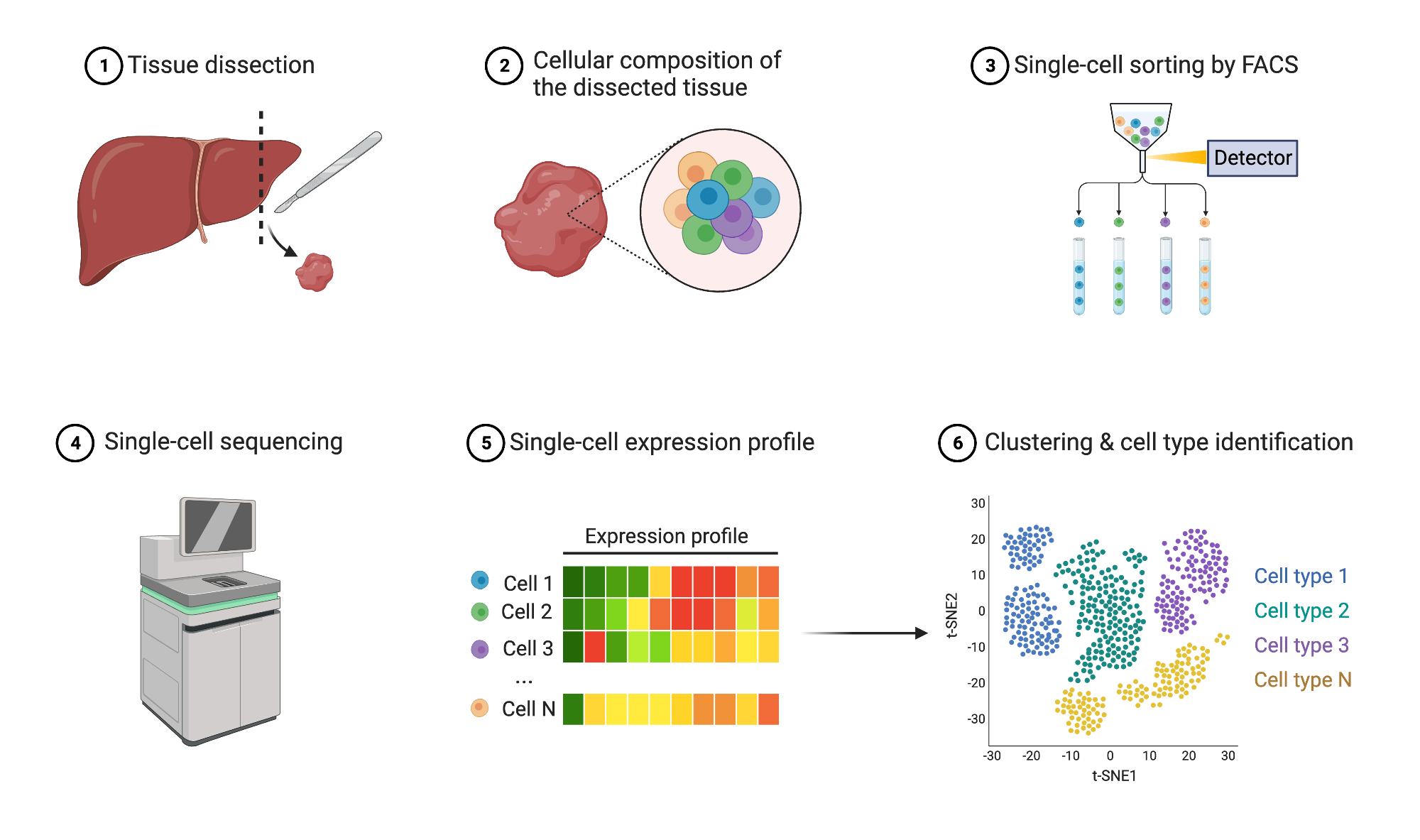 Single Cell Sequencing BioRender Science Templates