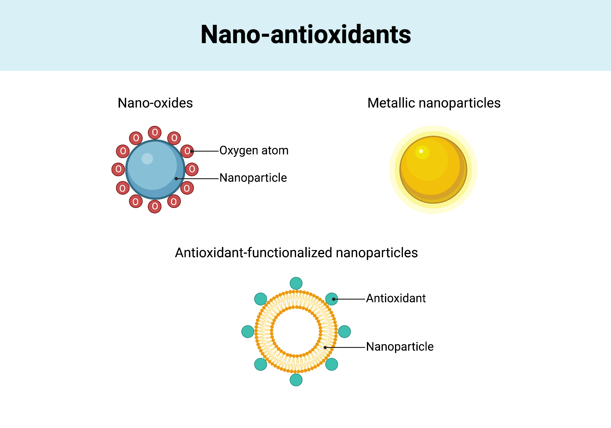 Nanoantioxidants BioRender Science Templates