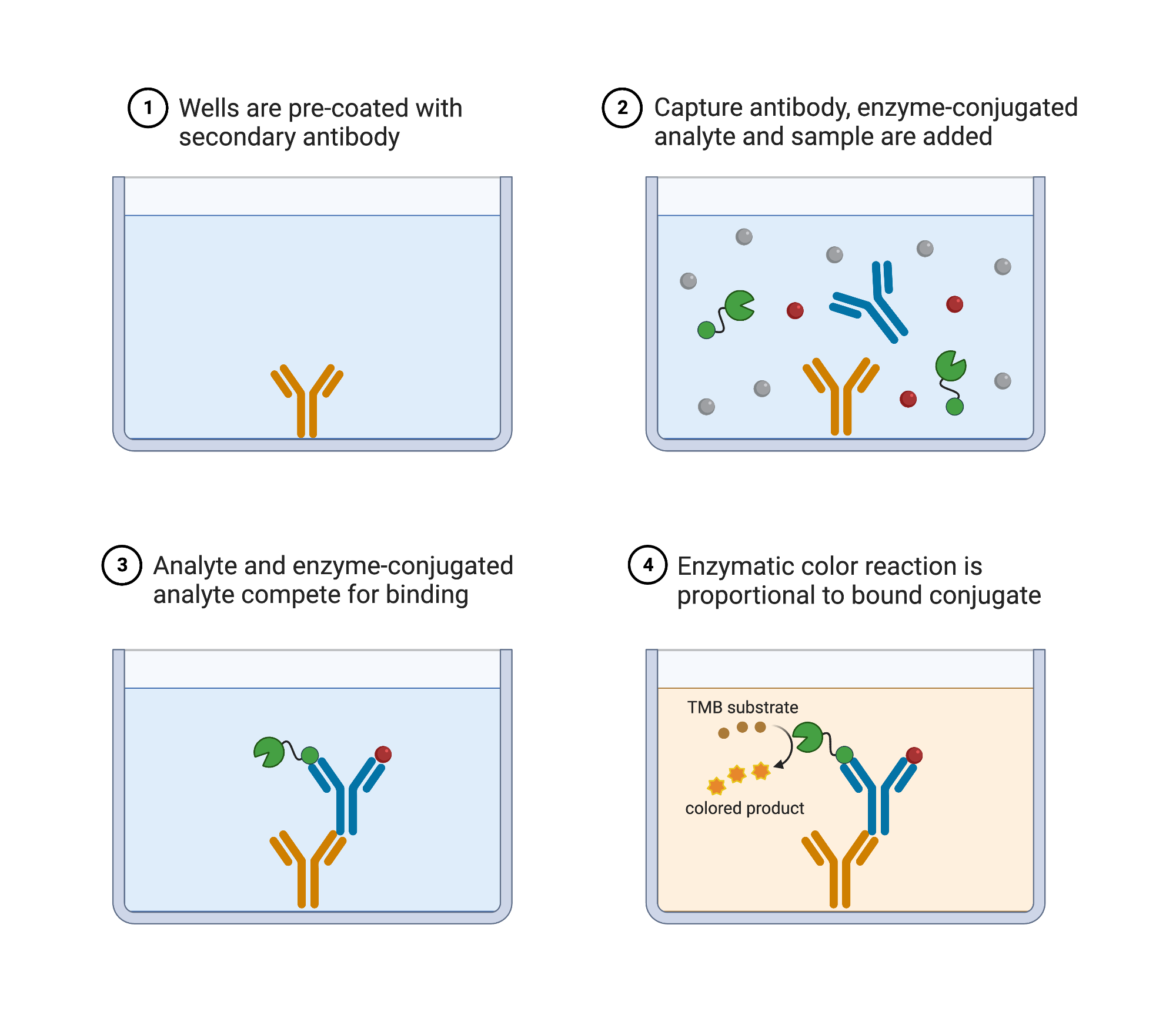 Competitive ELISA BioRender Science Templates