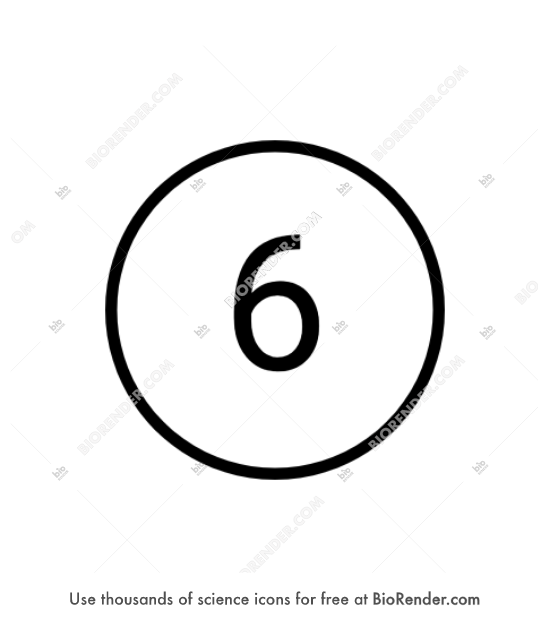 Free Number label (06) Icons, Symbols & Images | BioRender