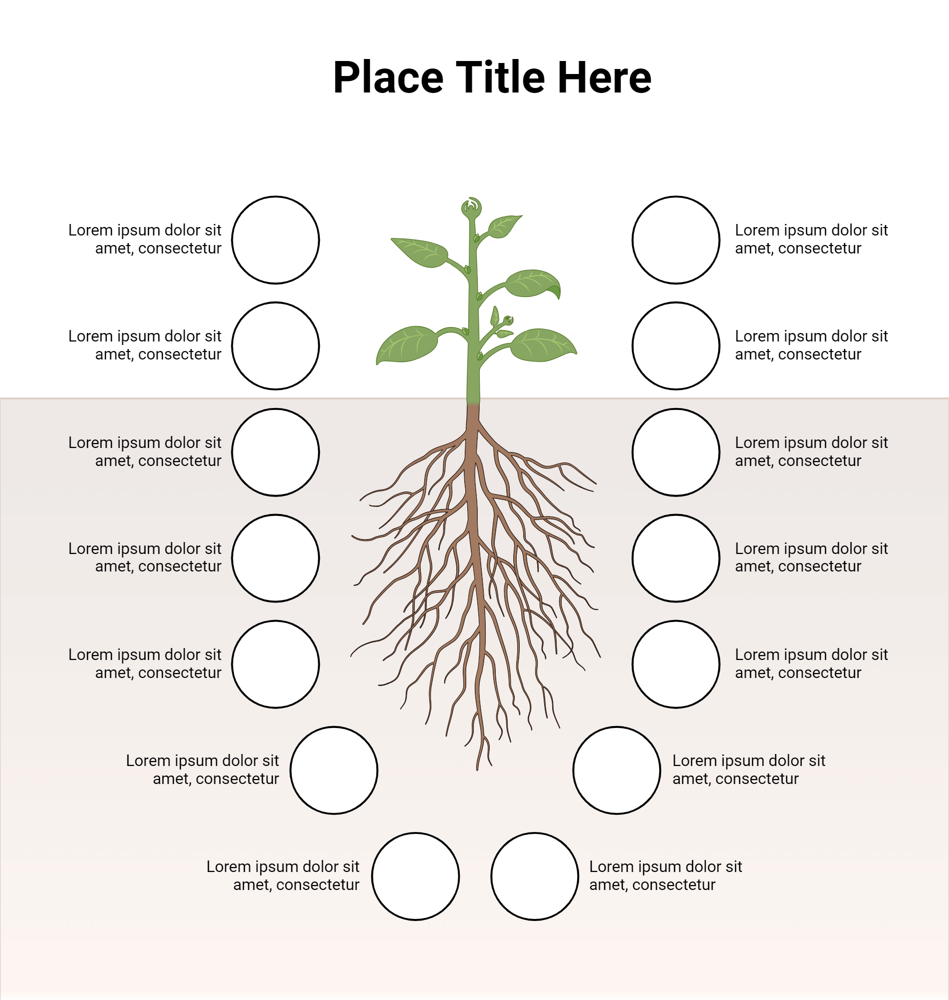 Plant and Roots with 14 Circular Items (Layout) | BioRender Science ...