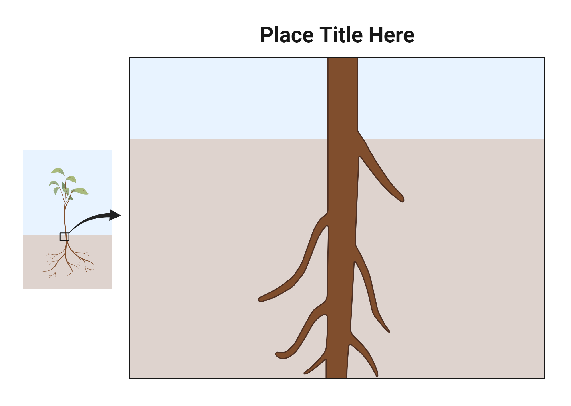 Root Callout Layout Biorender Science Templates Root Callout Layout Biorender Science Templates