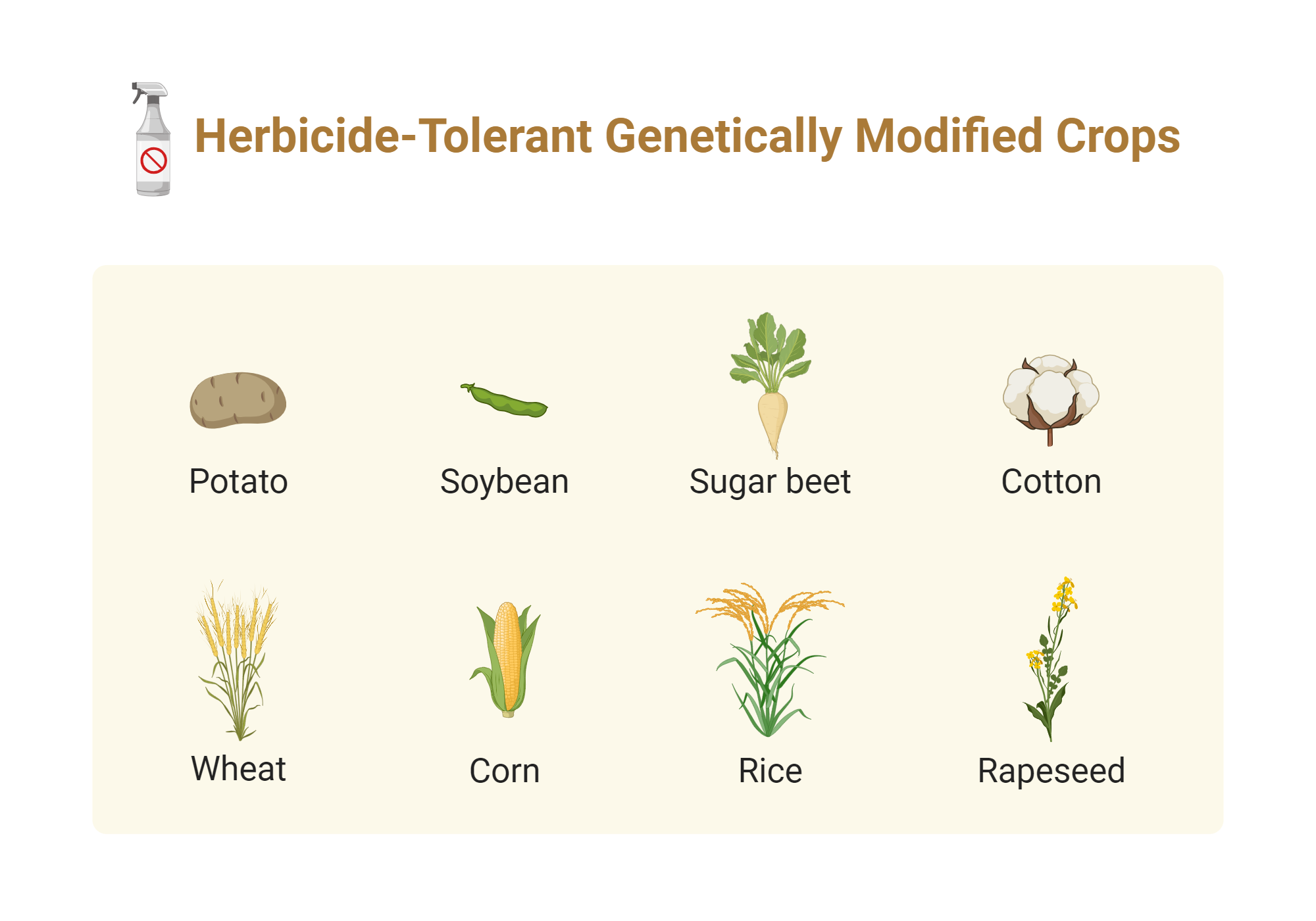Herbicide-Tolerant Genetically Modified Crops | BioRender Science Templates
