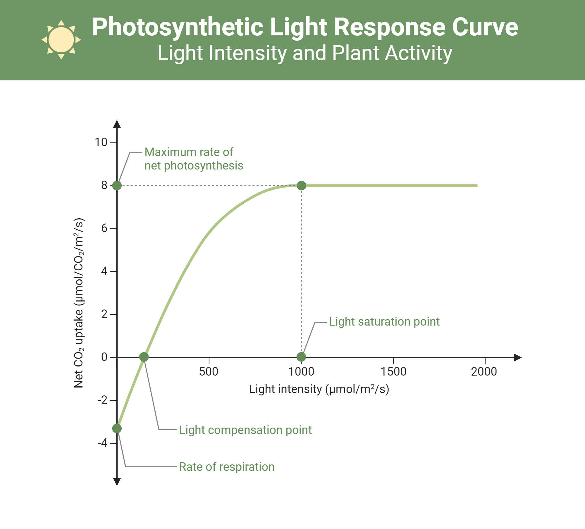 Photosynthetic Light Response Curve - Light Intensity and Plant ...