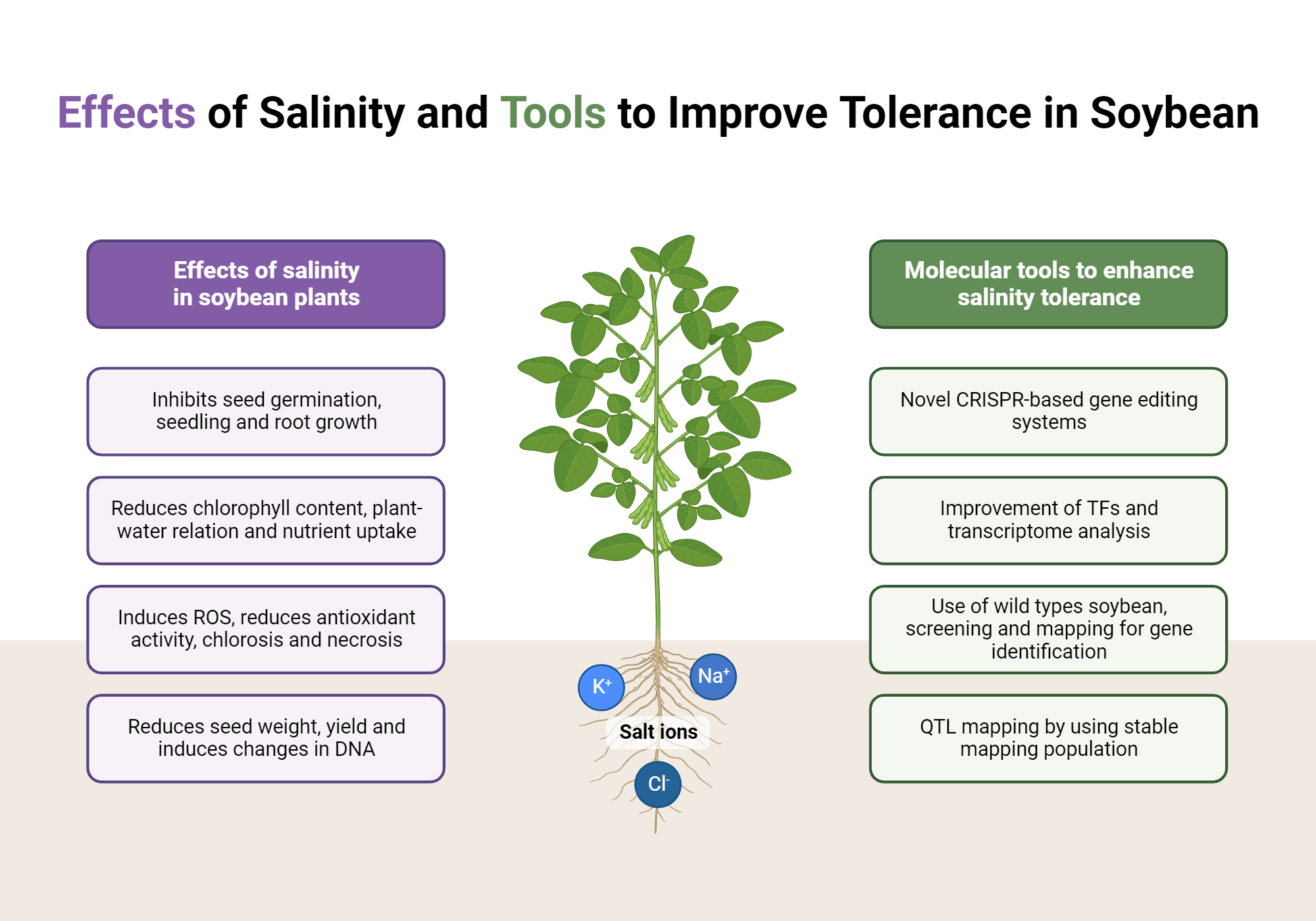 Effects of Salinity and Tools to Improve Tolerance in Soybean ...