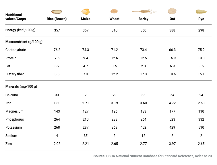 Nutrition Value of Cereal Grains BioRender Science Templates