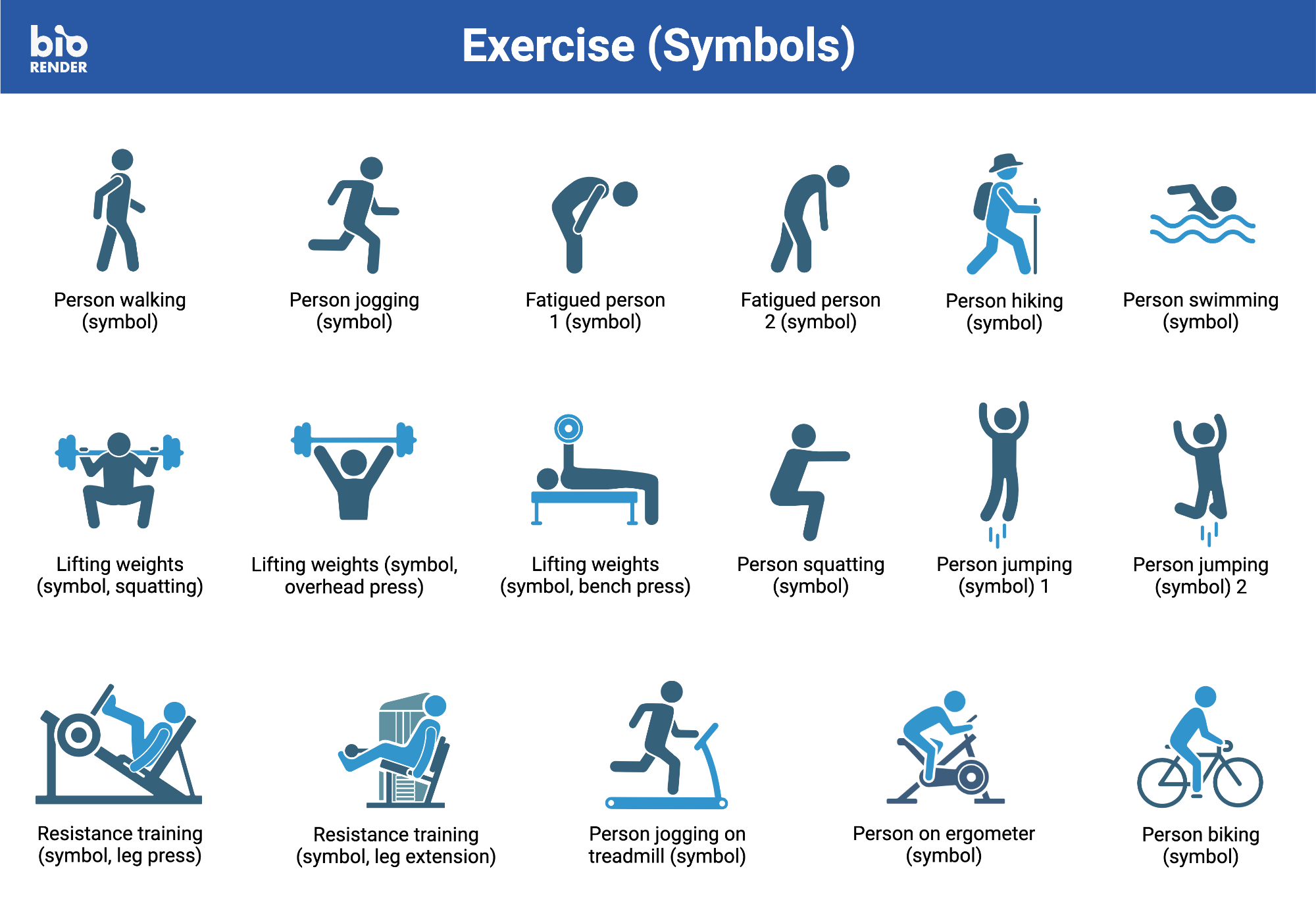 Icon Pack - Exercise (Symbols) | BioRender Science Templates