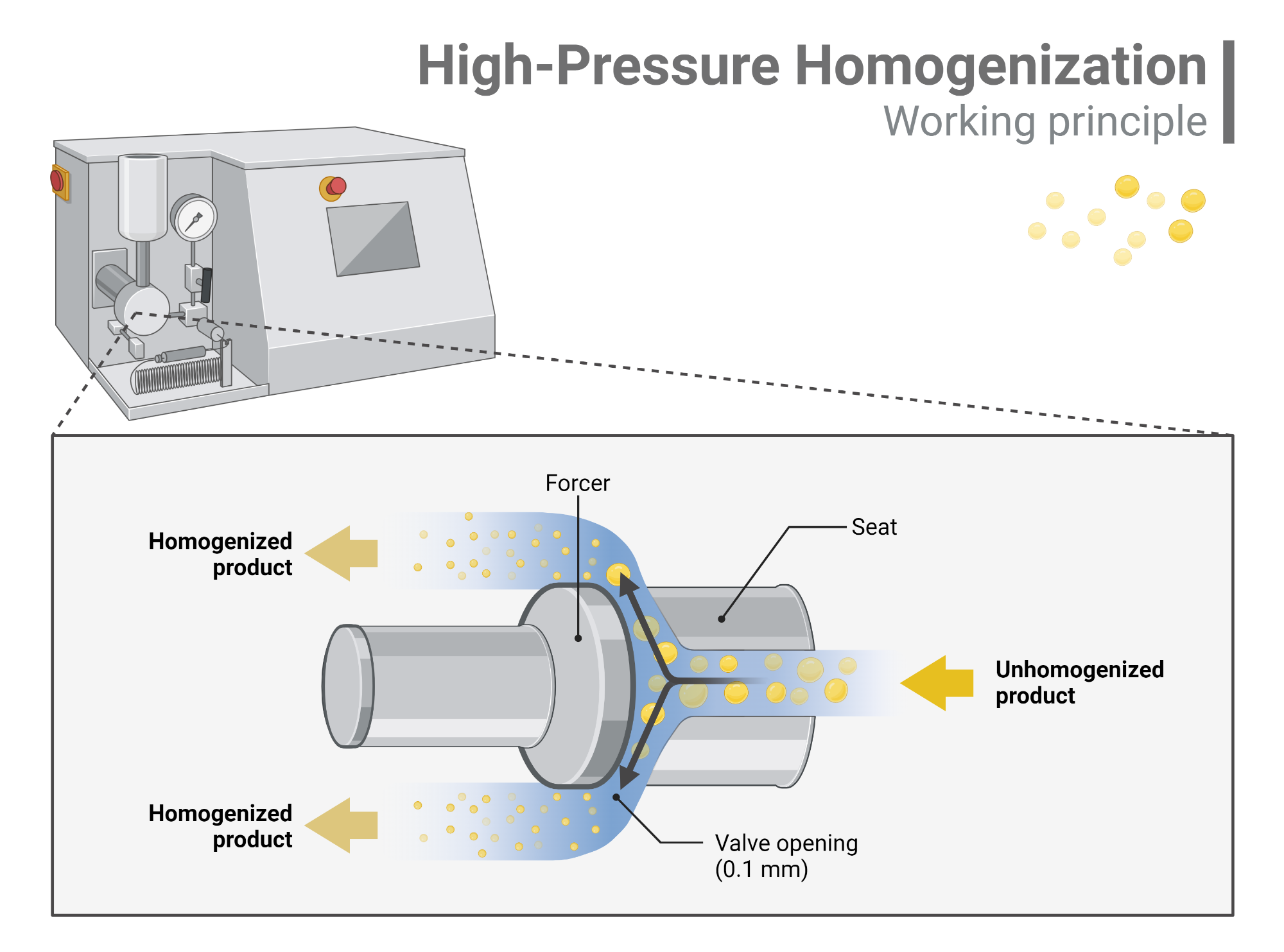 Working Principle of HighPressure Homogenization BioRender Science Templates
