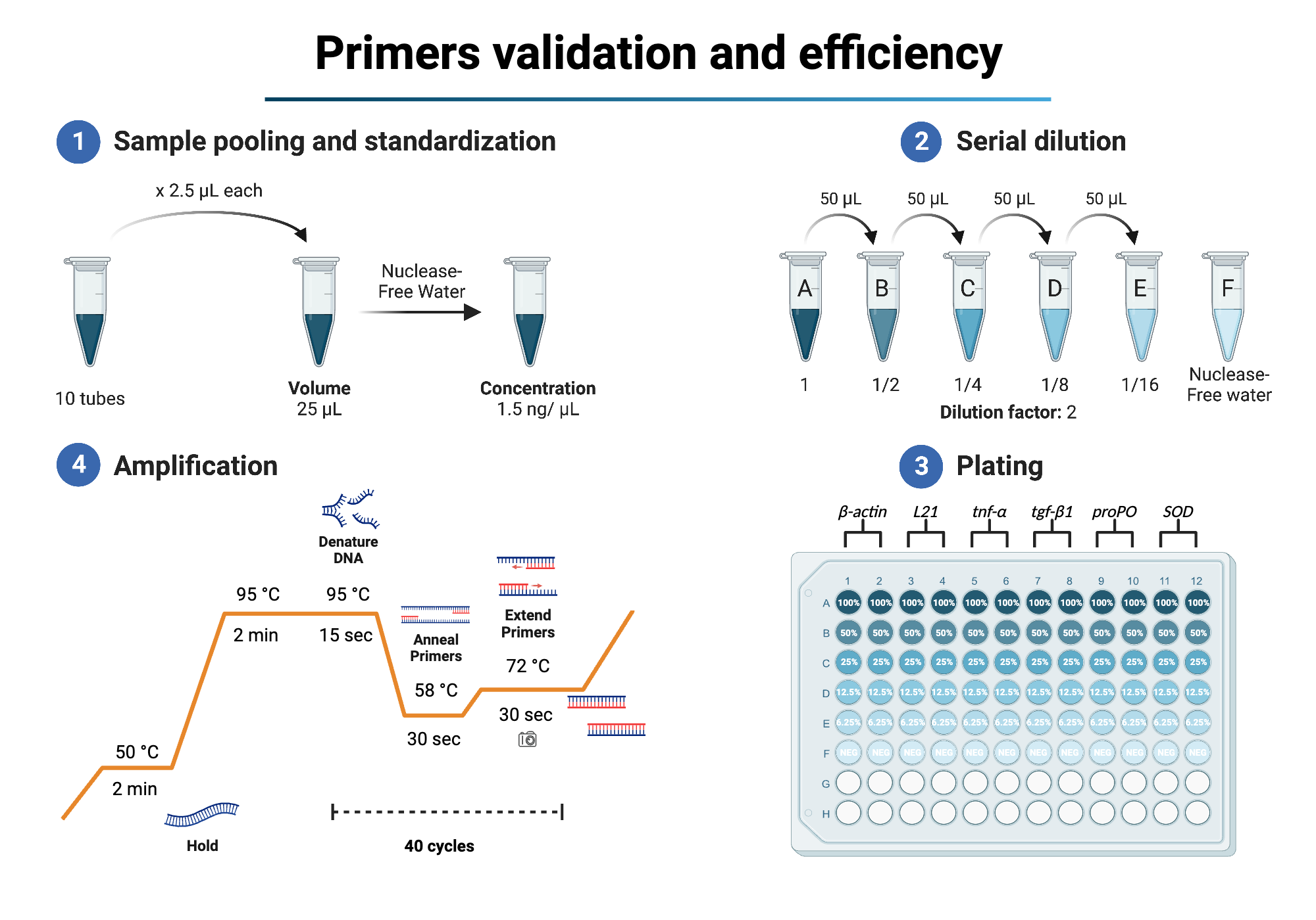 Primers validation and efficiency biorender science templates