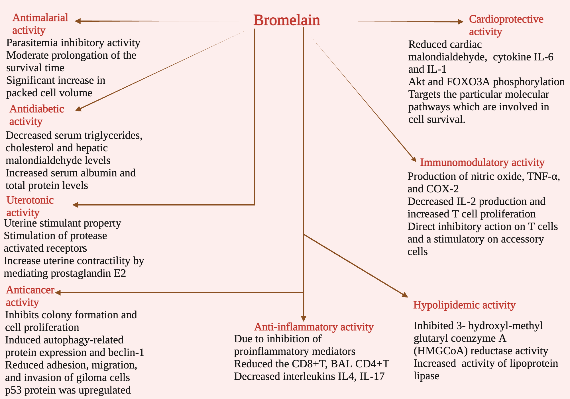 Mechanism of action of bromelain BioRender Science Templates