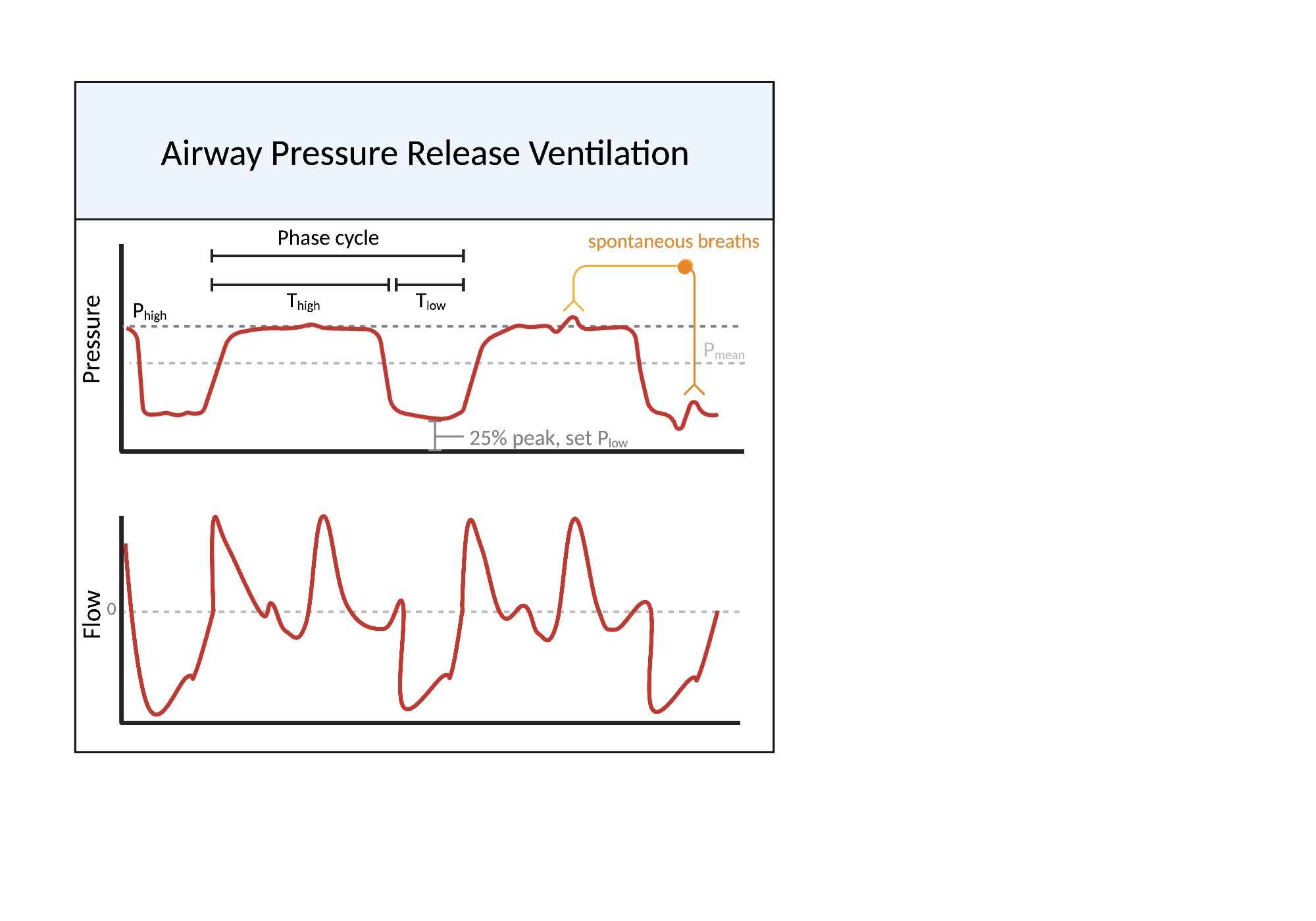 Airway Pressure Release Ventilation | BioRender Science Templates