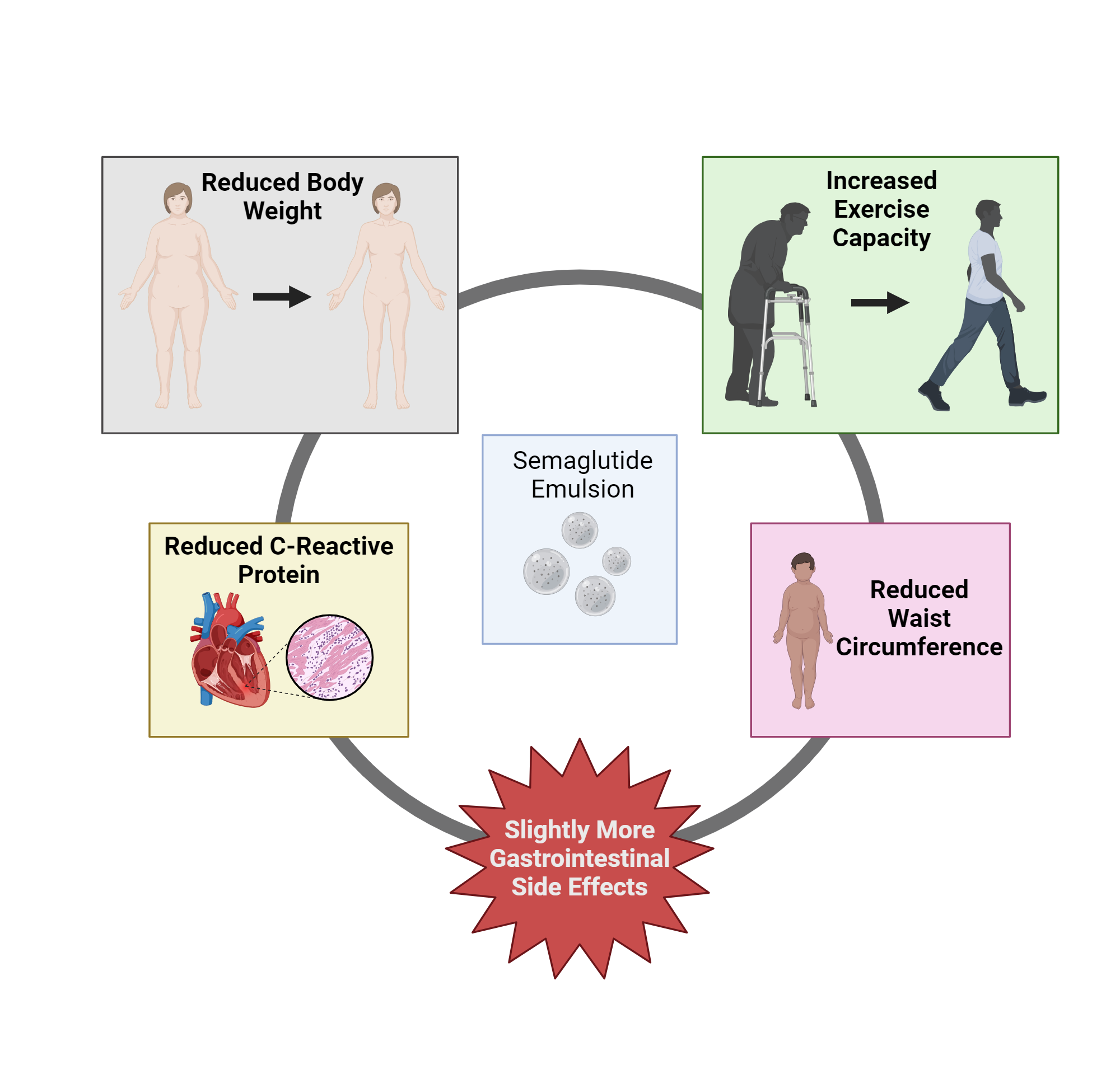 Effect of Semaglutide on Heart Failure | BioRender Science Templates