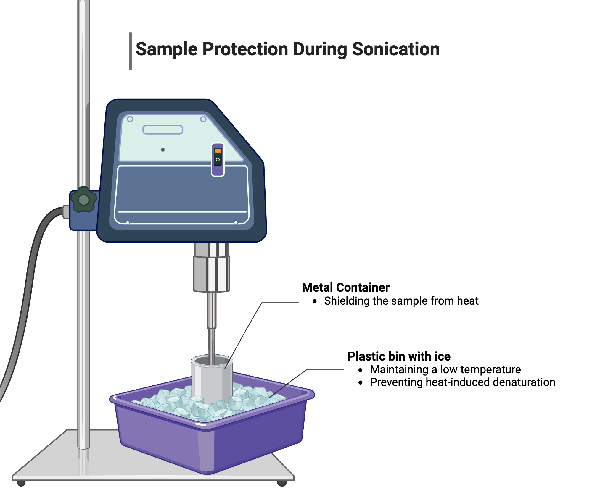 Sample Protection During Sonication BioRender Science Templates