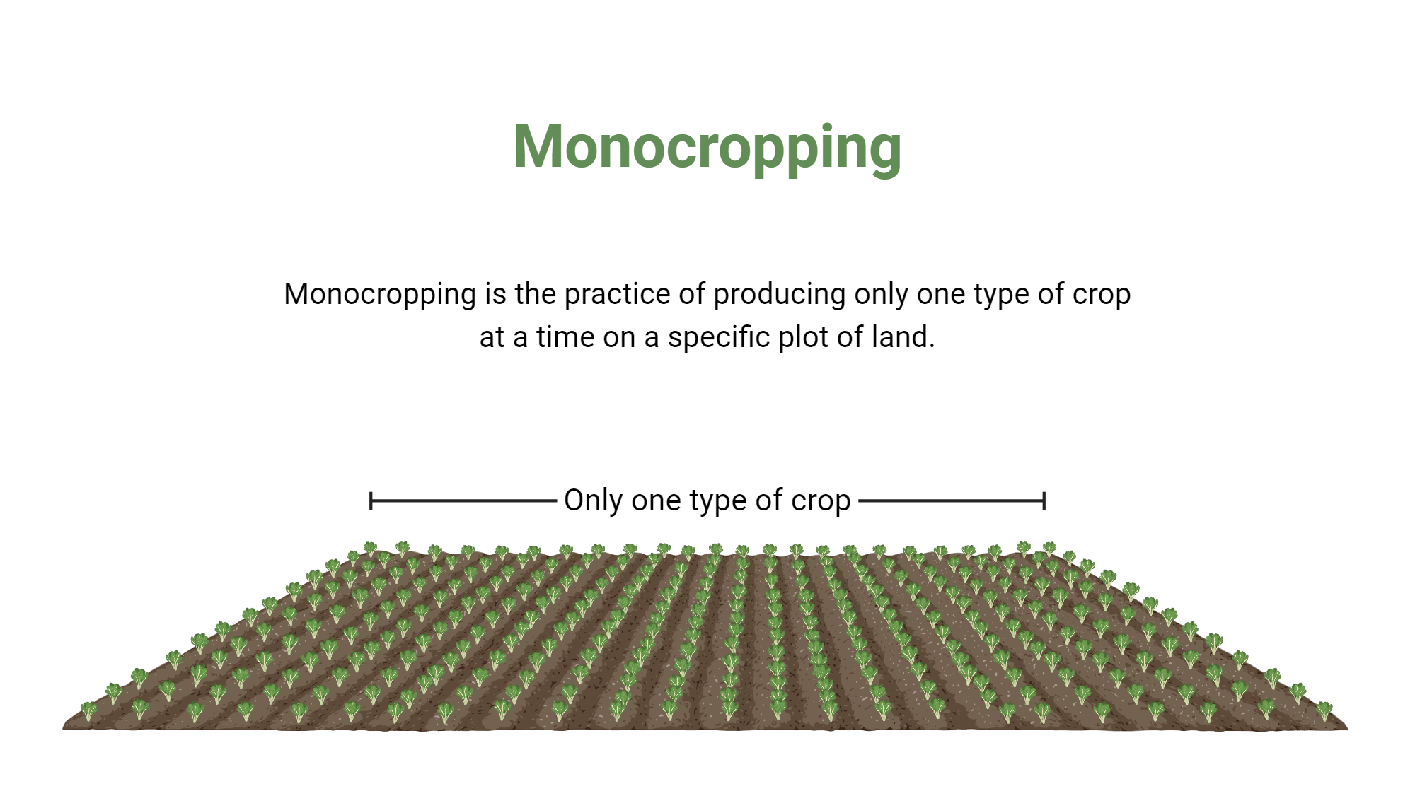 Monocropping Biorender Science Templates Monocropping Biorender Science Templates