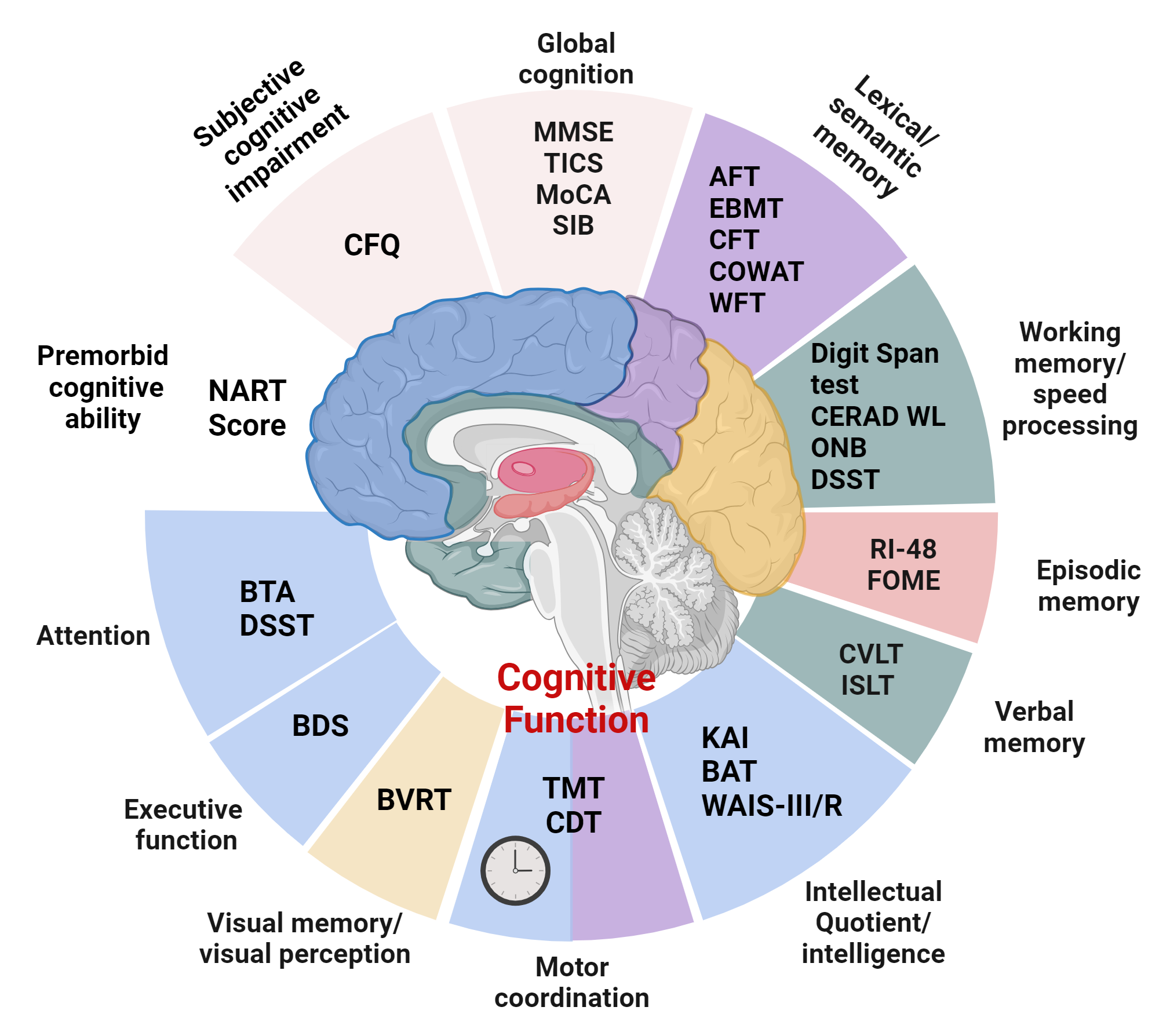 This Surprising Metal Could Supercharge Your Cognitive Function - vknnp2w