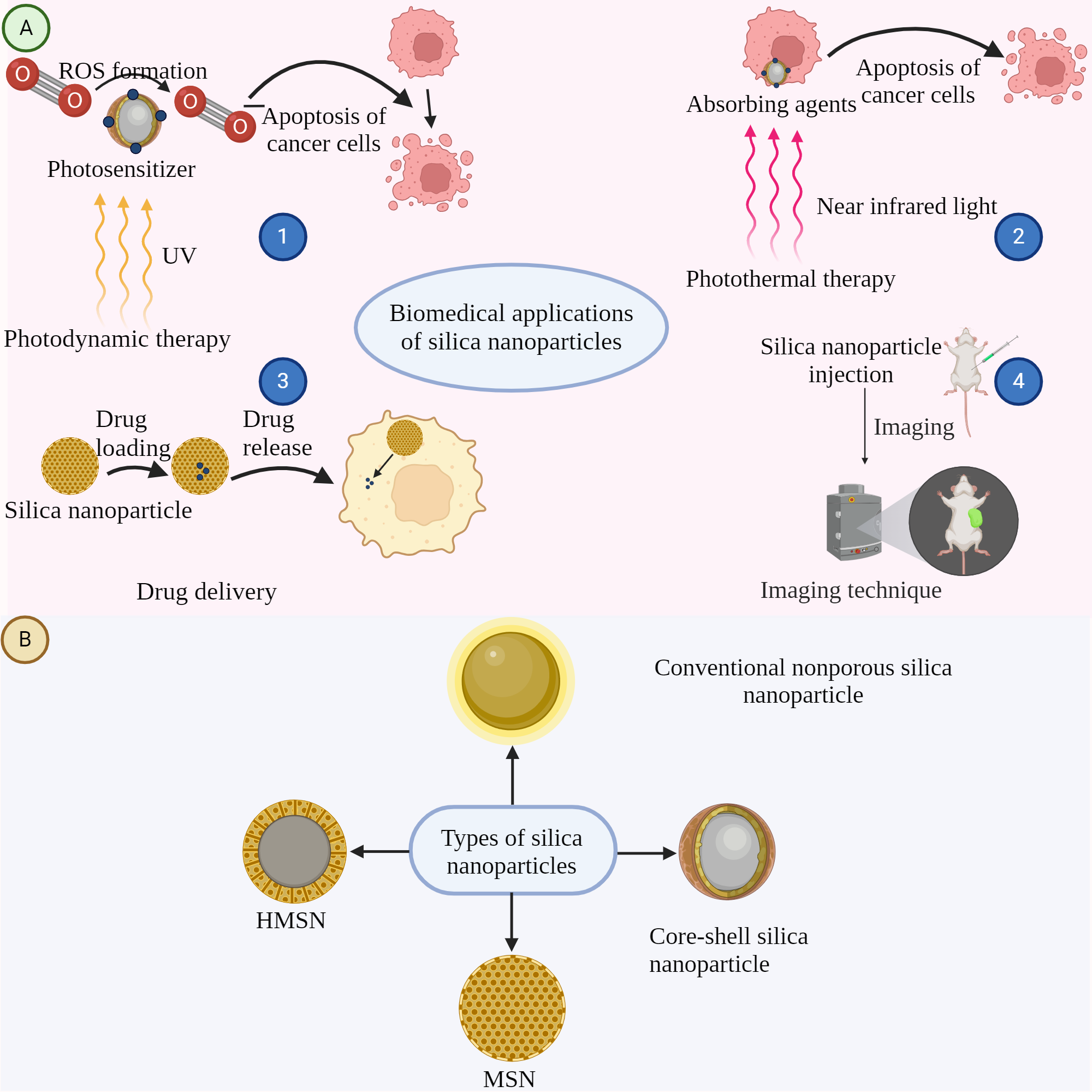 Working process and biomedical applications of Silica nanoparticles ...