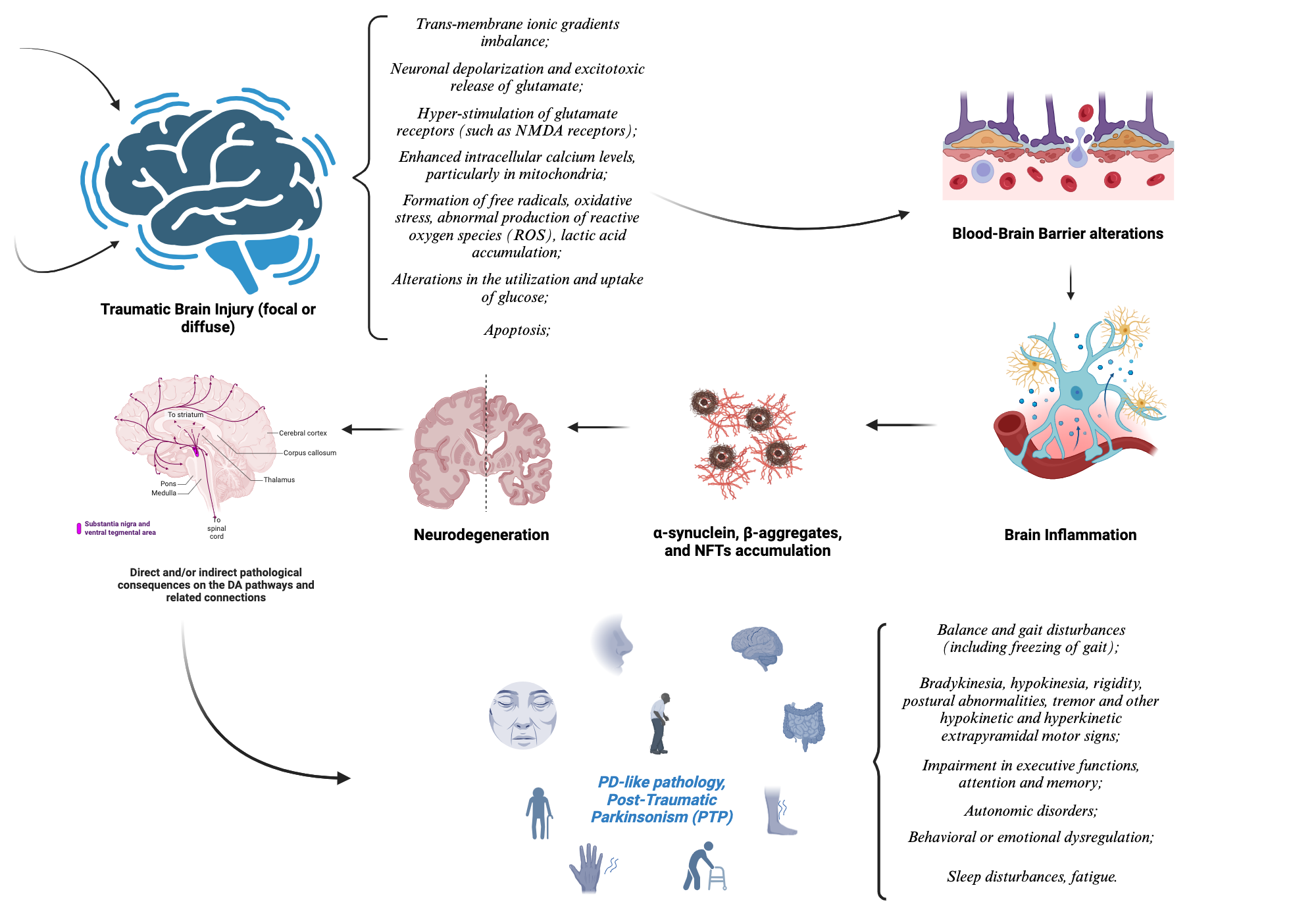 Pathogenesis of Post-Traumatic Parkinsonism (PTP) | BioRender Science ...