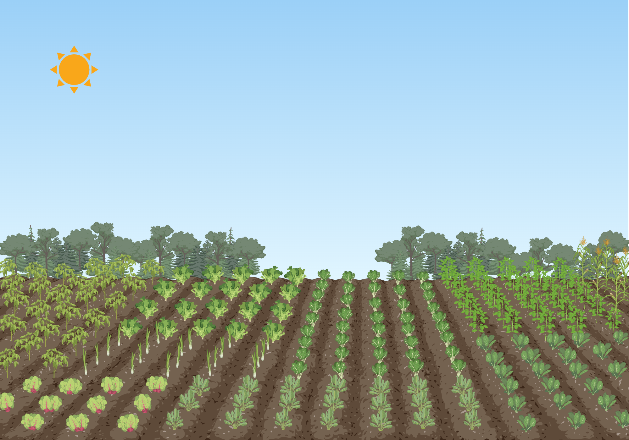 Multiple Cropping Mixed Cropping Background Biorender Science Multiple Cropping Mixed Cropping Background Biorender Science