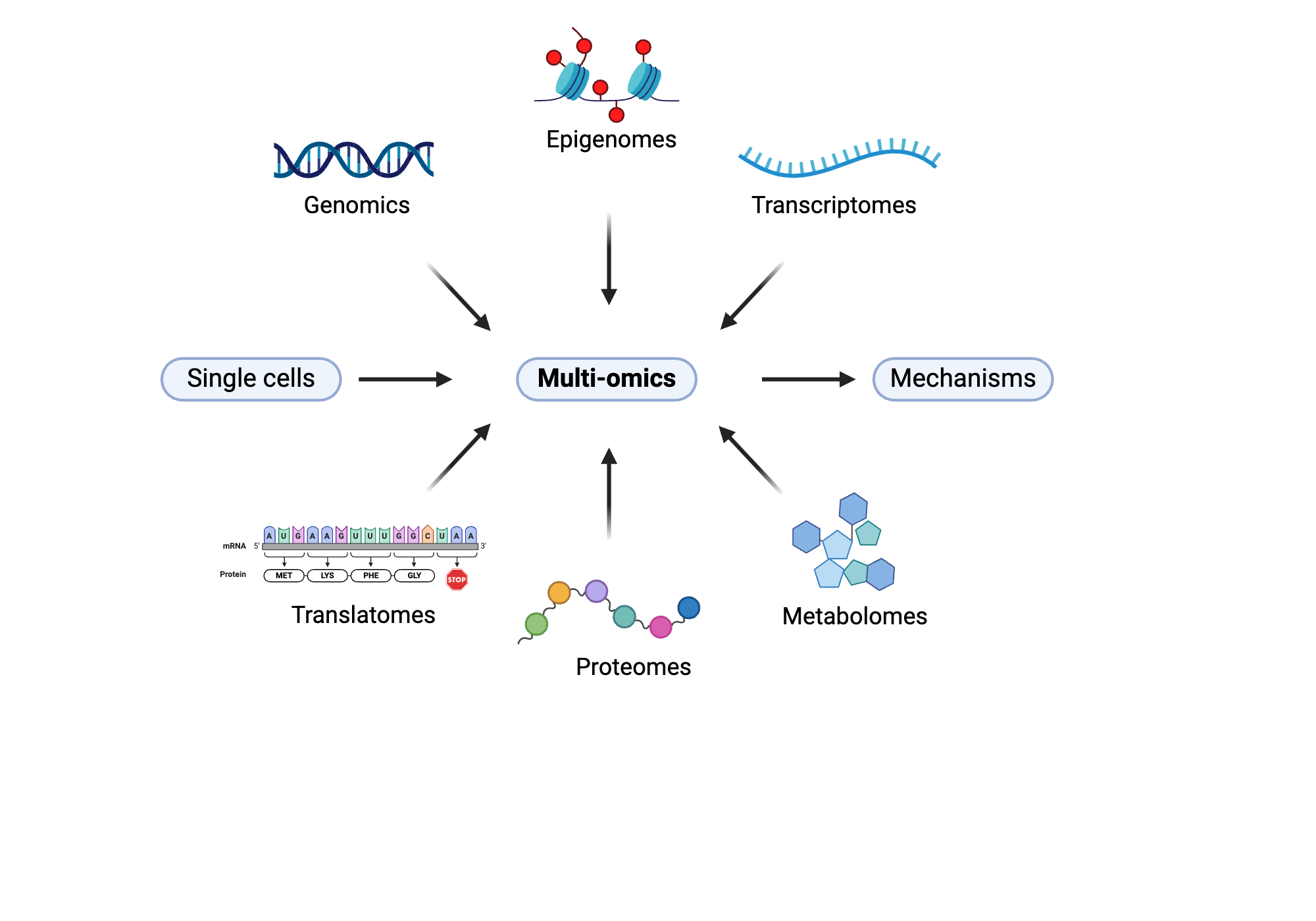 Multi omics | BioRender Science Templates