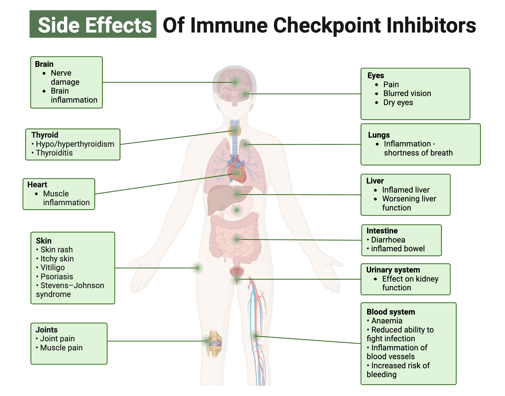 Del Immune V: Are The Side Effects Worth The Risk? - xgtwk2f