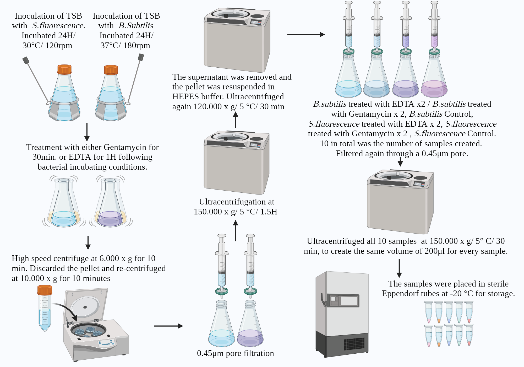 Illustration of Isolation of vesicles process summarising major steps ...