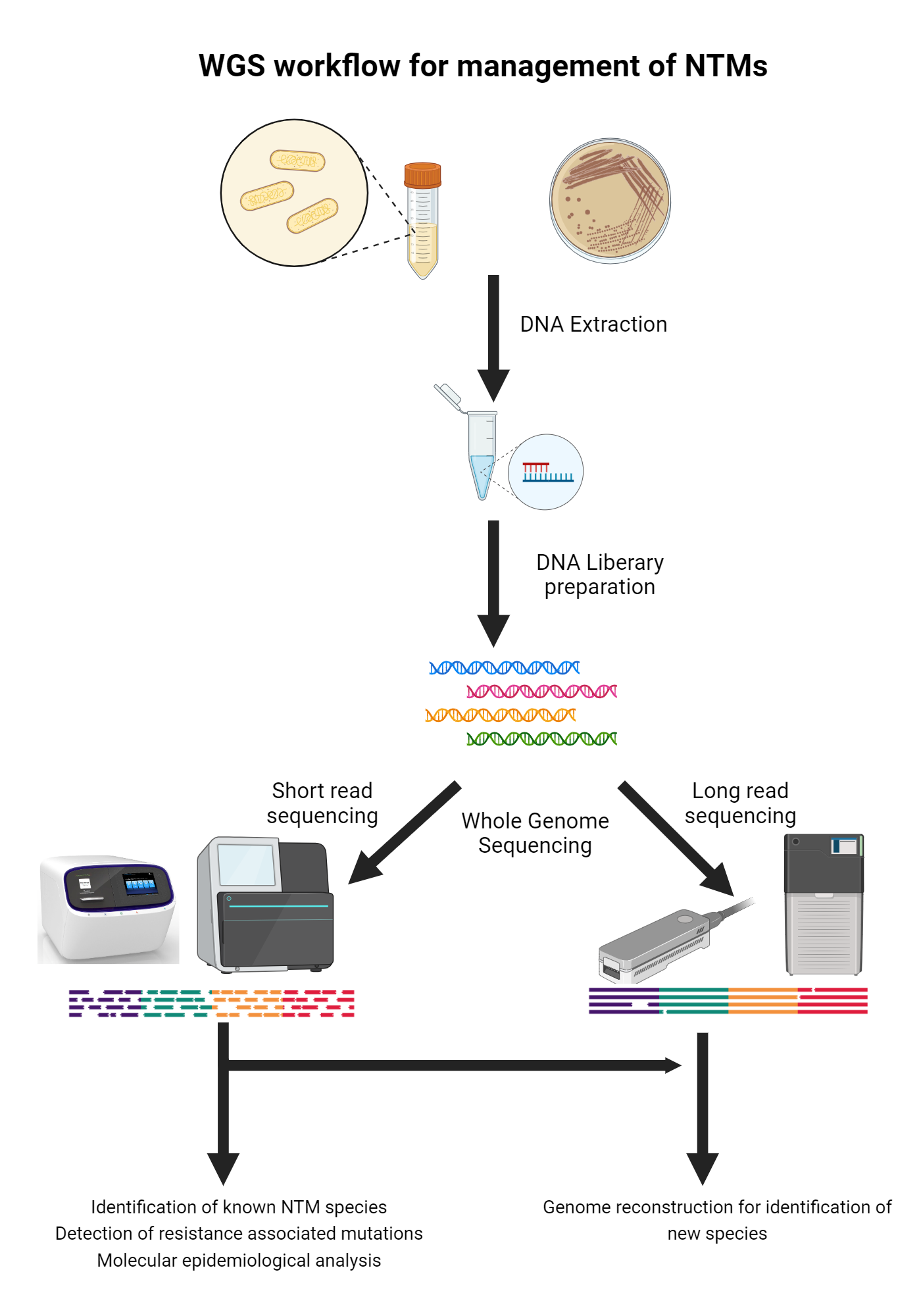 Whole genome sequencing workflow for the management of non-tuberculosis ...
