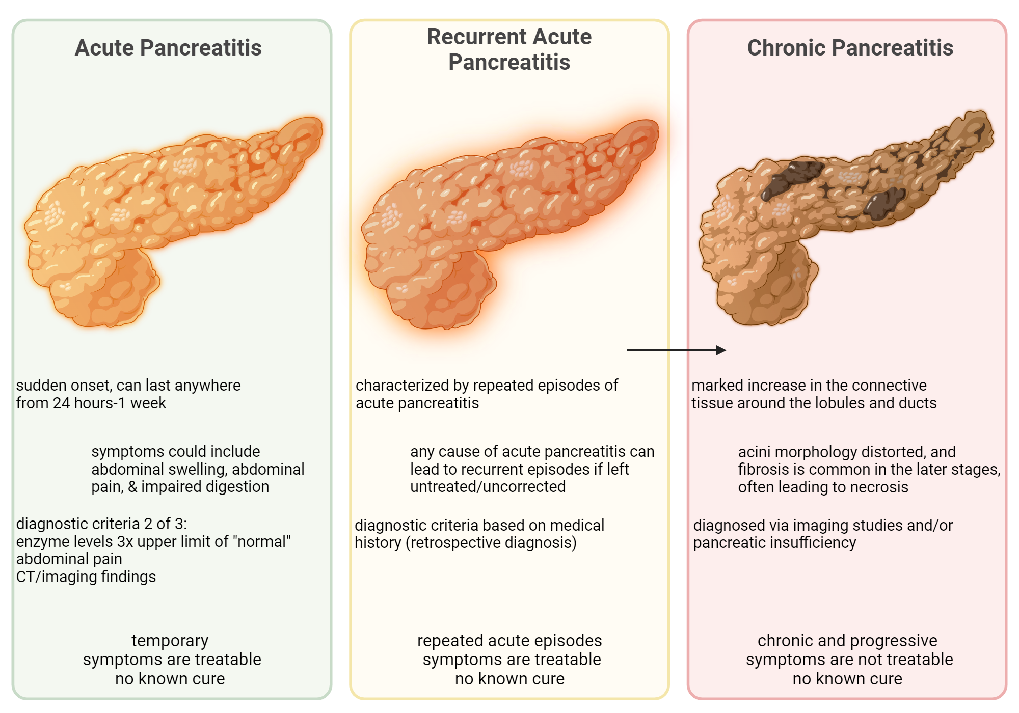 Most common stages of pancreatitis biorender science templates