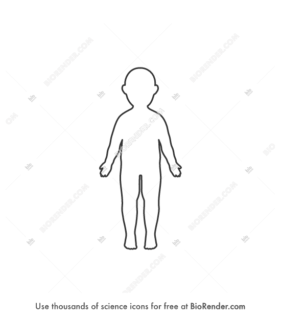 Free Human body outline (toddler) Icons, Symbols & Images | BioRender