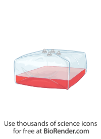 Free Bioprocess container (small scale, with liquid) Icons, Symbols ...