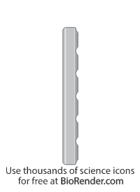 Free Fixation plate Icons, Symbols & Images | BioRender