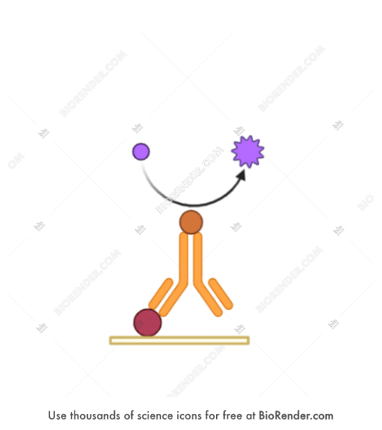 Free Western blot reaction (colorimetric, direct) Icons, Symbols
