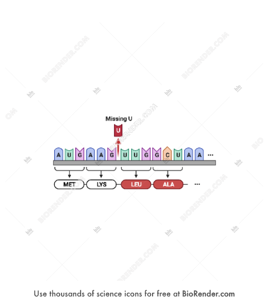Free Frameshift mutation (base pair deletion) Icons, Symbols & Images