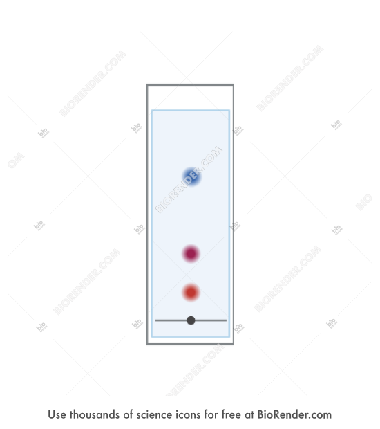 Free Thin layer chromatography plate (1 sample) Icons, Symbols & Images BioRender