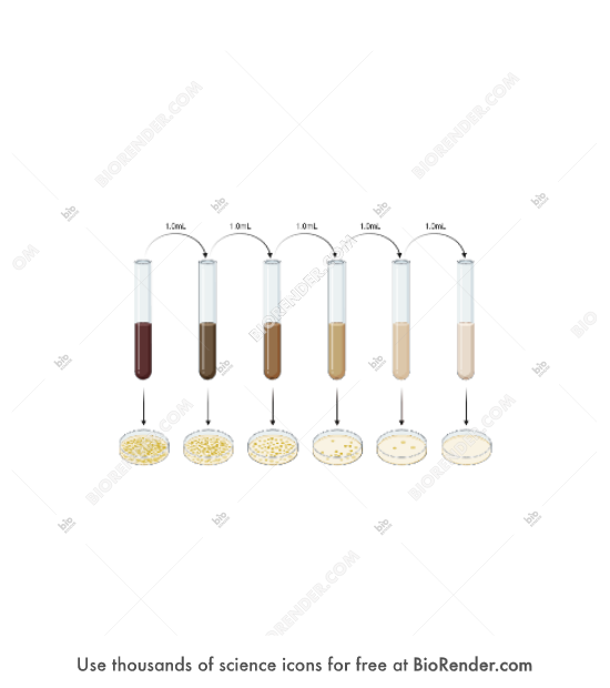 Free Broth dilution assay (Minimum Bactericidal Concentration) Icons