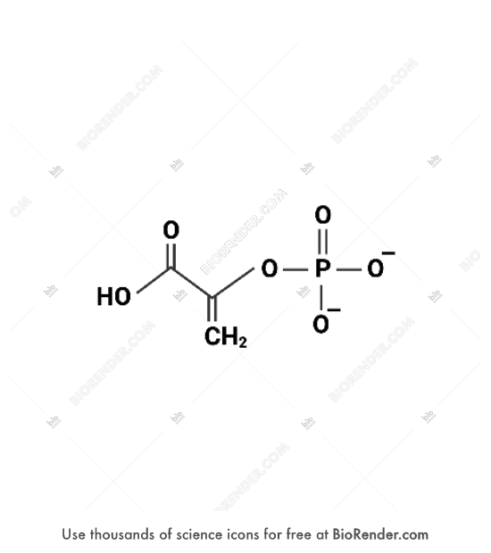 Free Phosphoenolpyruvate (structural formula) Icons, Symbols & Images