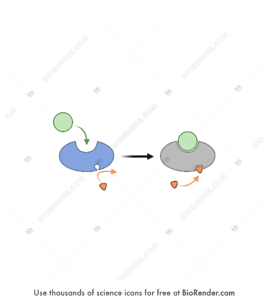 Free inhibition Icons, Symbols & Images BioRender