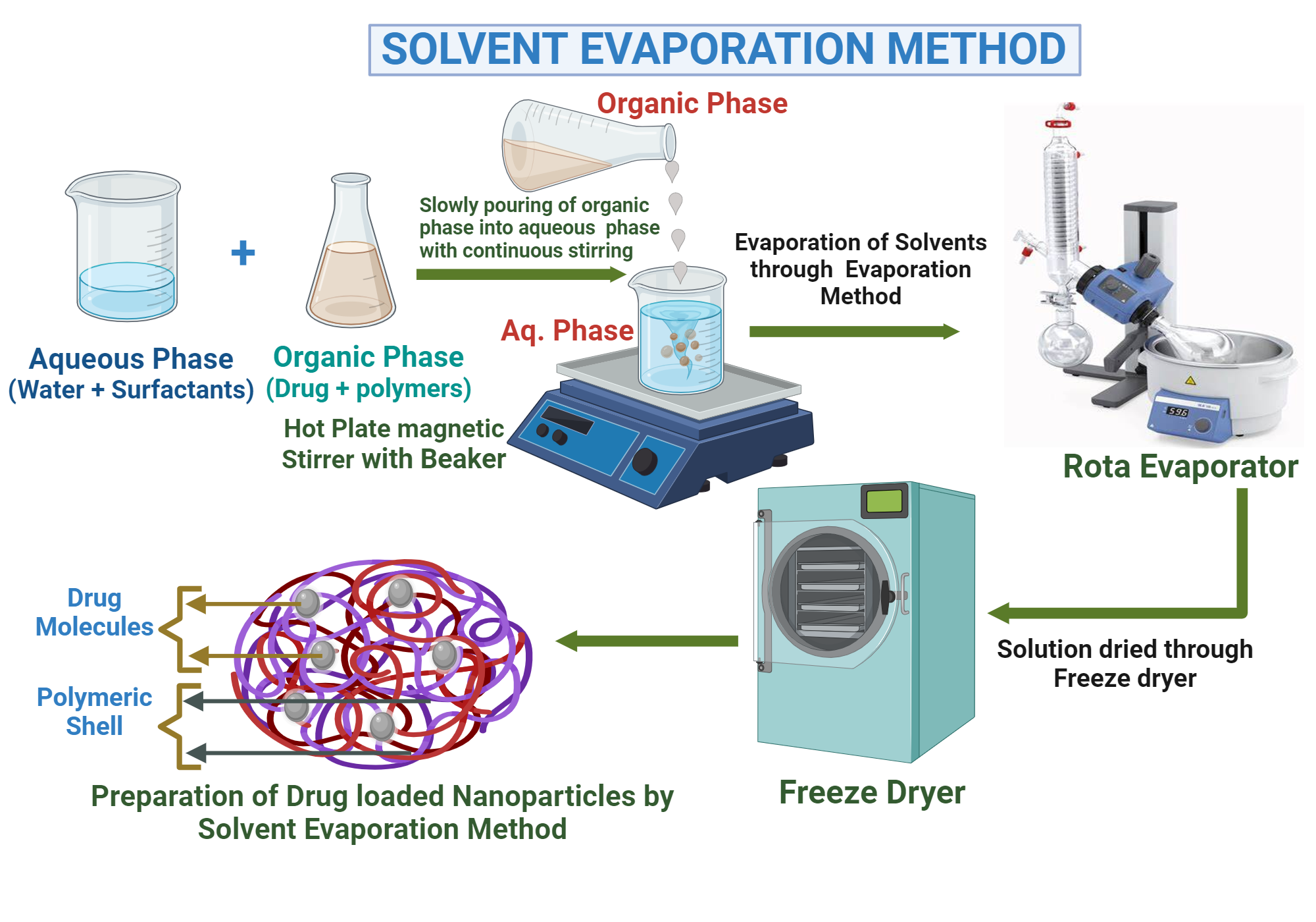 Polymeric Nanoparticles preparation by Solvent Evaporation Method ...