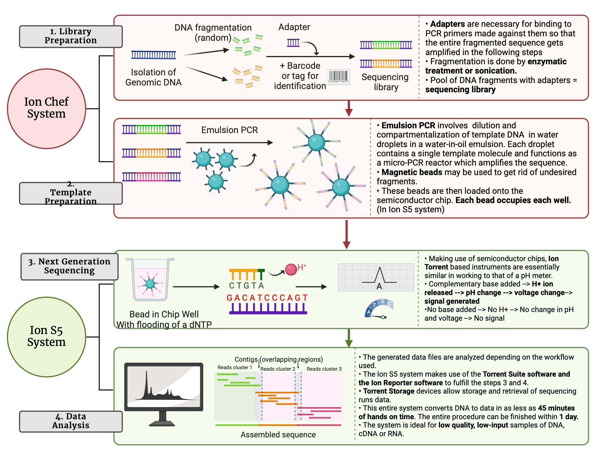 Dna Sequencing Ion Semiconductor Patent Us