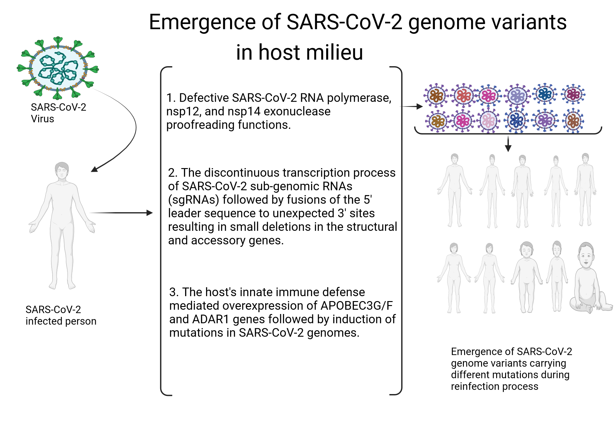 Emergence of SARS‐CoV‐2 variants in the host cellular milieu ...