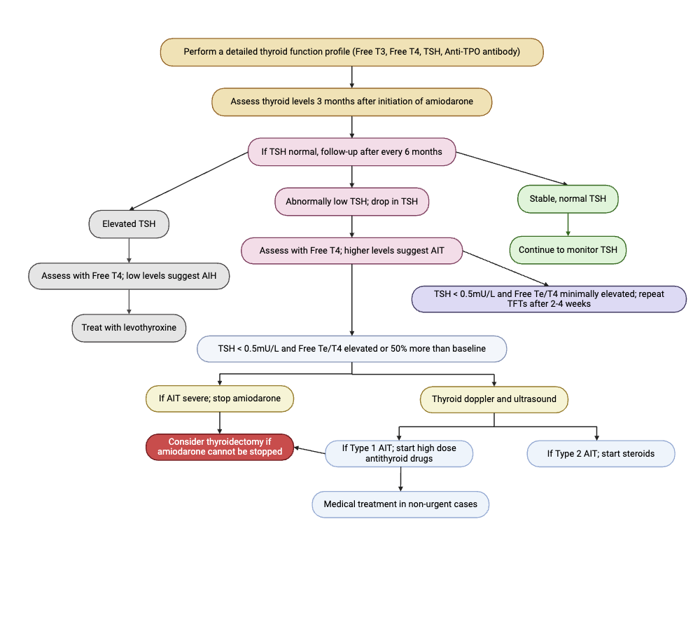 Algorithm for thyroid profile testing in patients receiving amiodarone ...