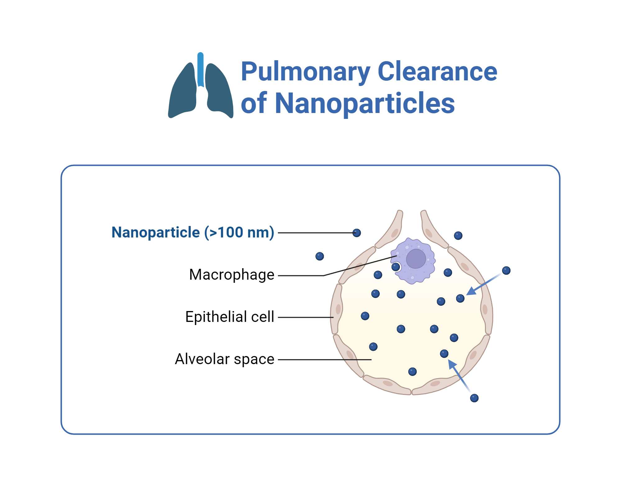 Pulmonary Clearance For Surgery Icd 10 Pulmonary Clearance For Surgery Icd 10