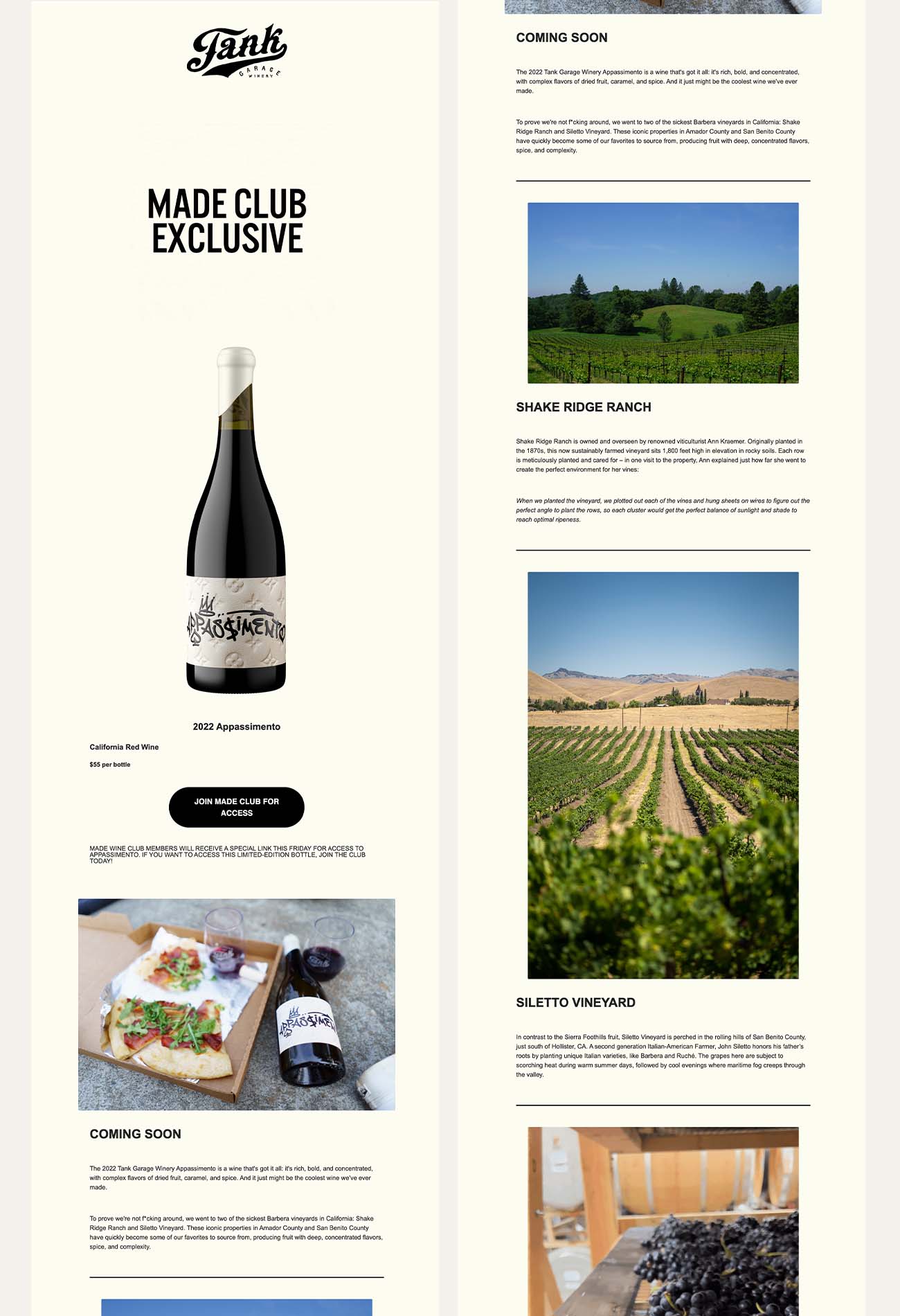 great example a of a successful wine club newsletter using compelling imagery 