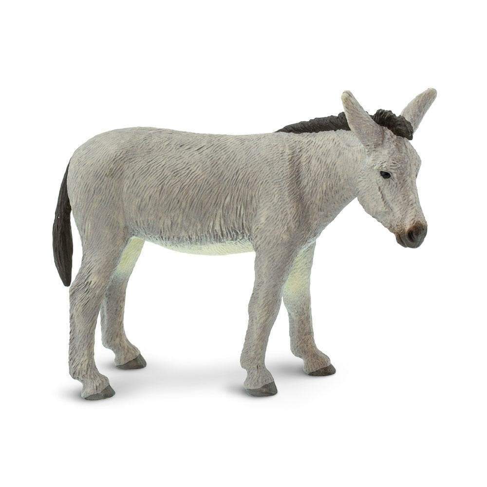 Donkey Rimi Donkey - Safari Ltd® | Browse the SafariPedia