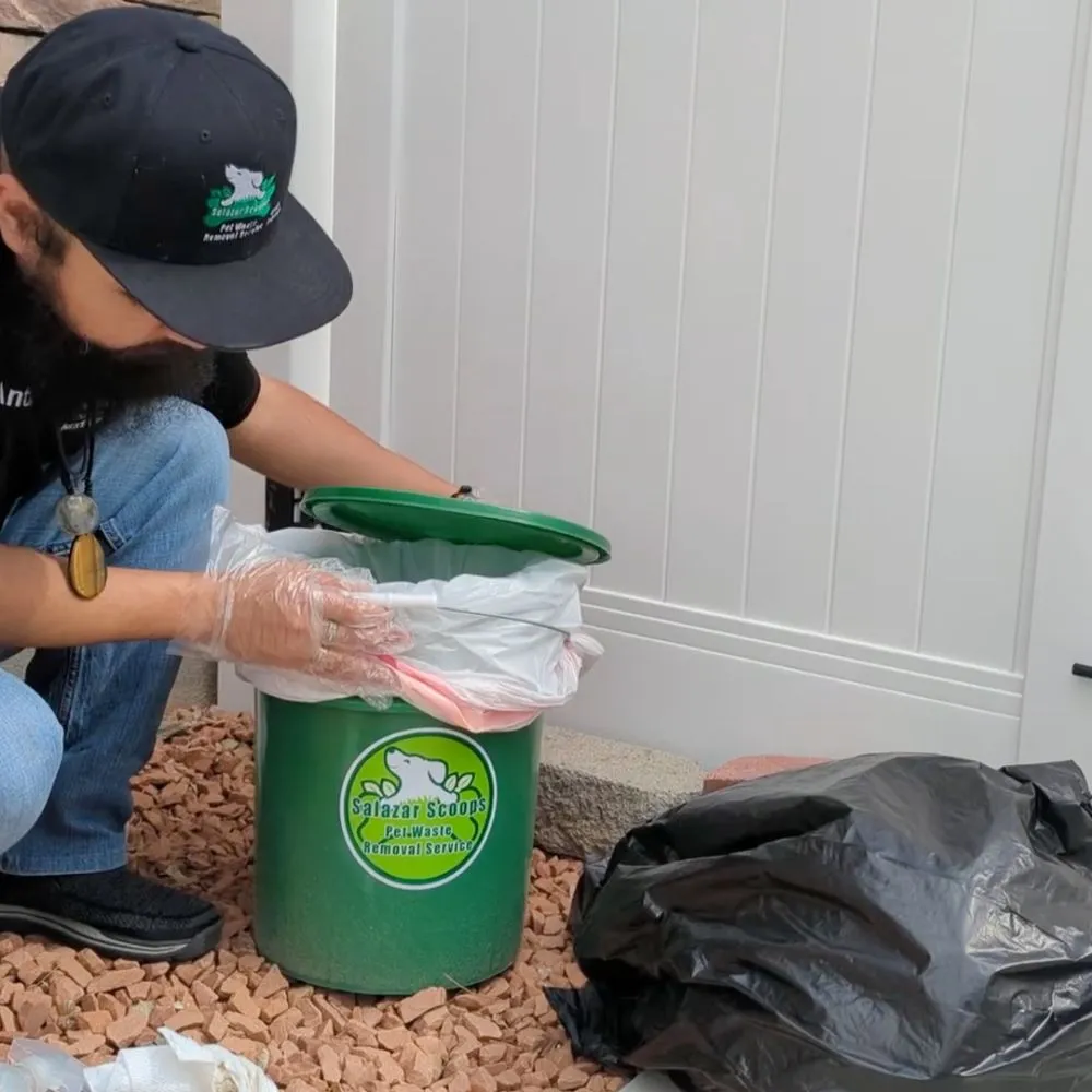 Ogden's Top Residential Pooper Scooper Services Salazar Scoops