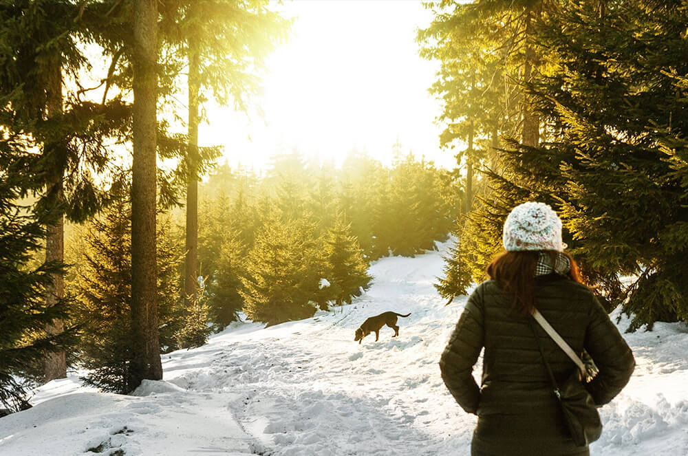 Find Your Best Time to Exercise - Lark Health