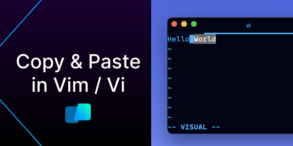 undo-redo-in-vim-vi-warp