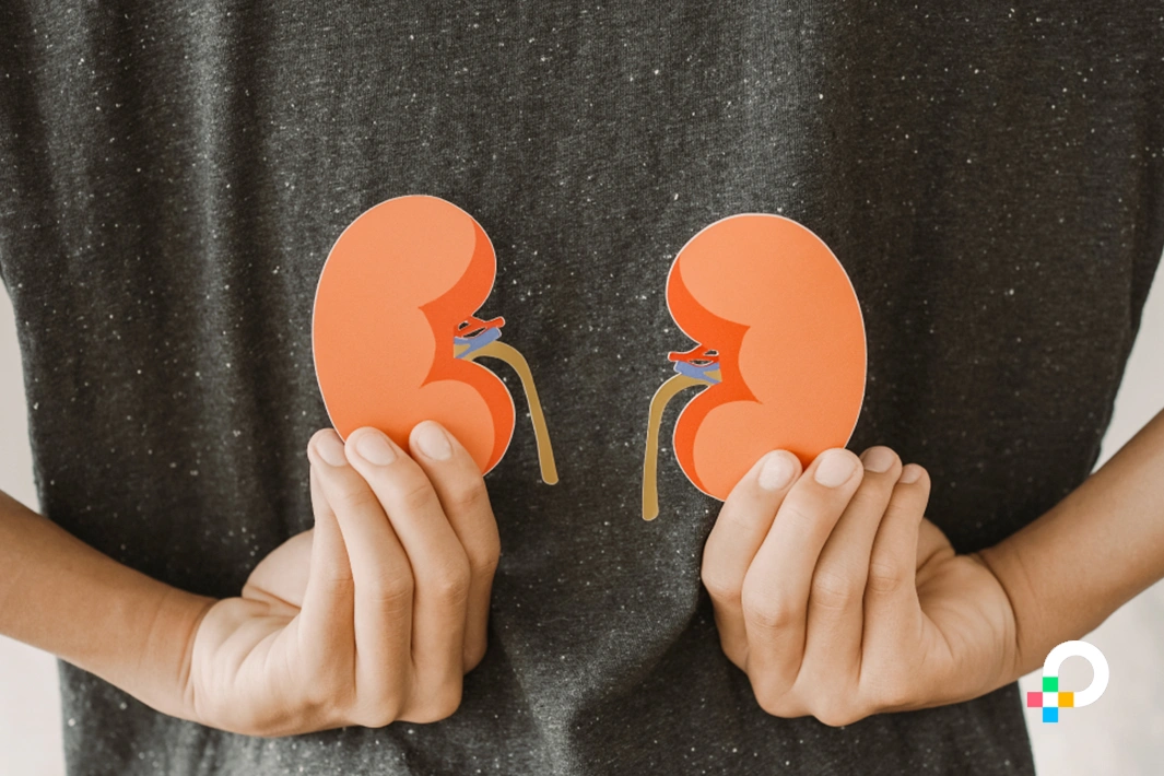 Kidney Biopsy for IgAN Understanding the Procedure and Its Importance