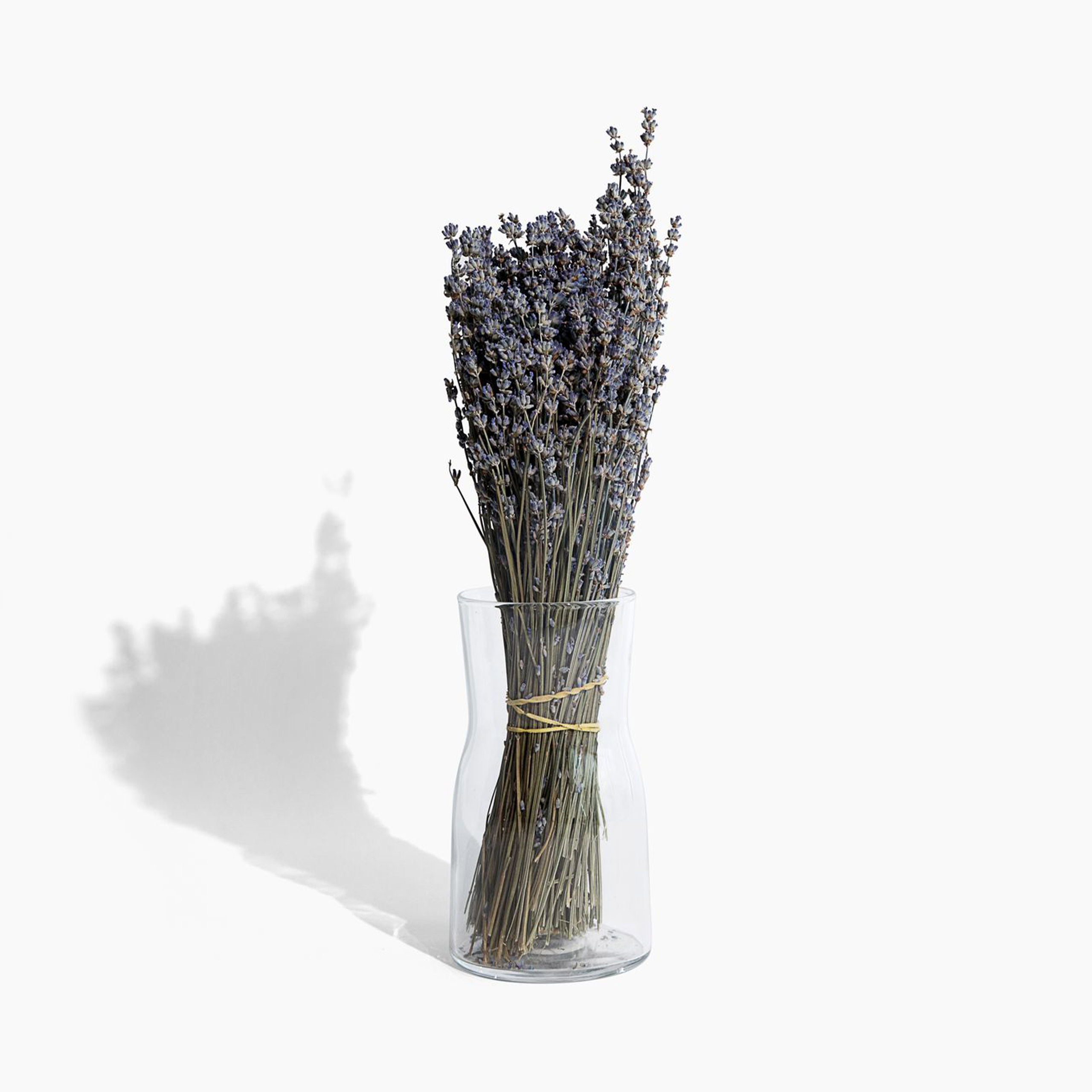 dried lavender