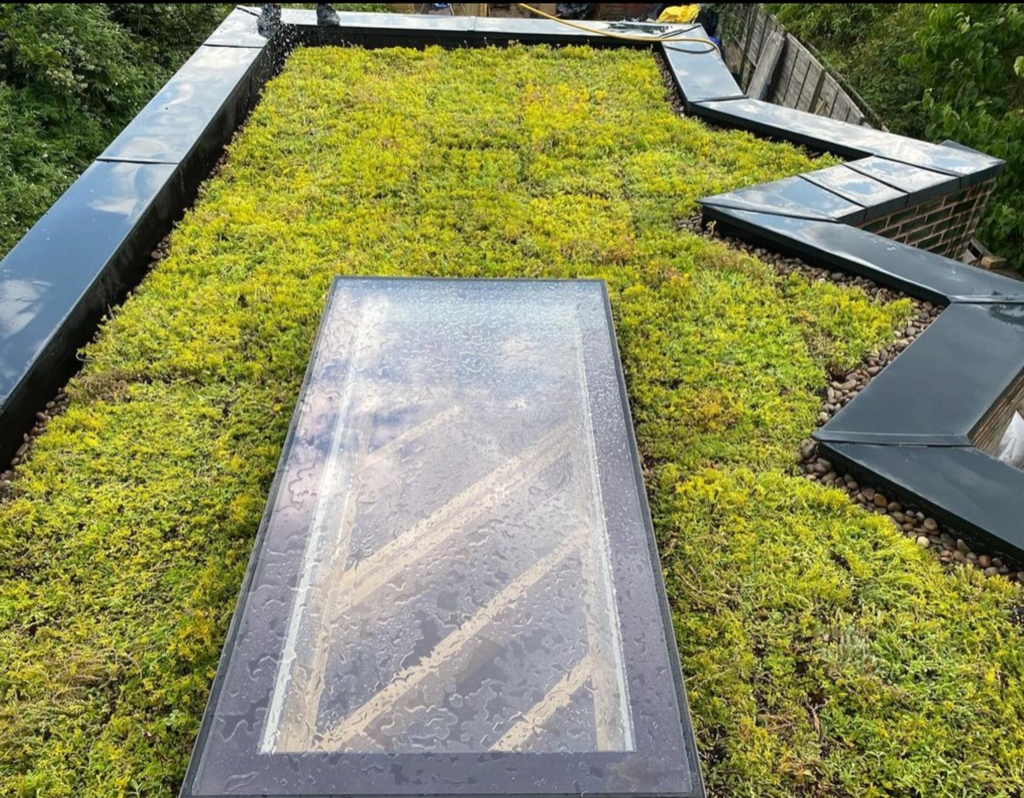 Green Roofs: Enhancing Biodiversity and Meeting the Biodiversity Net ...