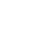 Icon of a laptop with magnifying glass